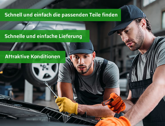 was Sie bei Rheingold Autotechnik erwarten knnen