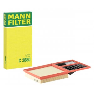 C 3880 Luftfilter Mann-Filter